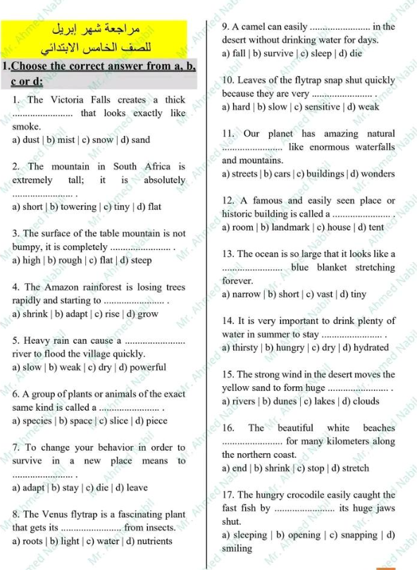 مراجعة شهر ابريل للصف الخامس الابتدائي 2026 1